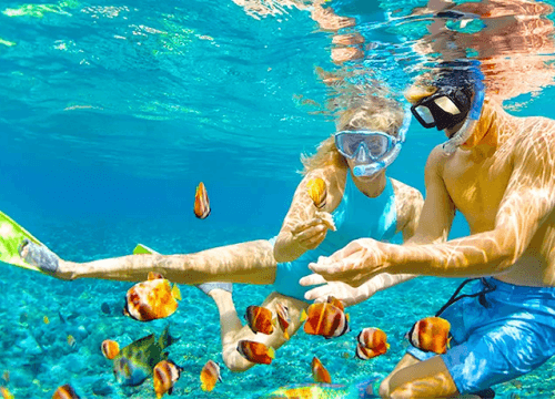 Tour Cù Lao Chàm 1 Ngày Combo Trọn Gói