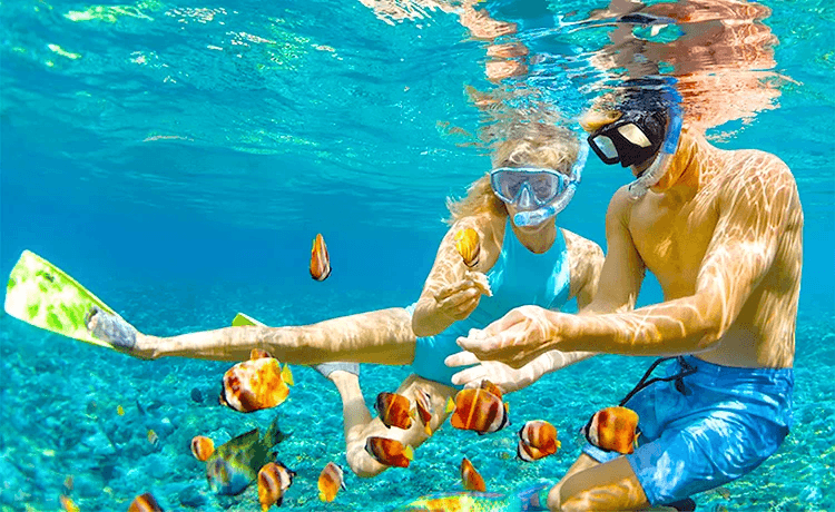 Tour Cù Lao Chàm 1 Ngày Combo Trọn Gói